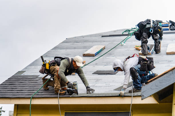 Professional Gutter Installation technician working in Norcross, MN